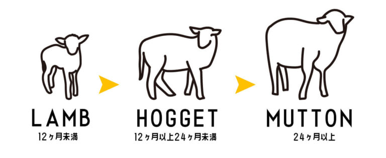 ラムとマトン、ホゲットの違いは？肉質や味はどう違う？ Life with YOU(羊)