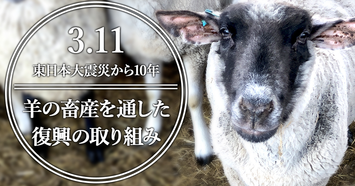 3.11東日本大震災から10年―羊の畜産を通した復興の取り組み